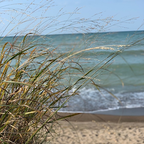 Meet your Posher, Olivia - Picture 1 of 1